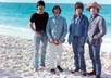 Beatles, The