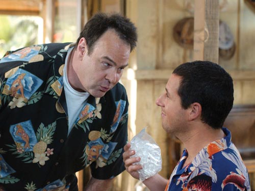 50 First Dates [Cast] Photo
