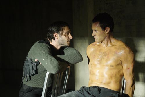 Agents of SHIELD [Cast] Photo