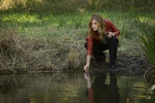 Alexander, Sasha [Rizzoli and Isles] Photo