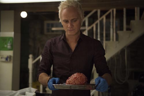 Anders, David [iZombie] Photo