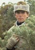 Anderson, Richard Dean [MacGyver]