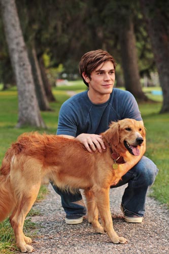 Apa, KJ [A Dog's Purpose] Photo