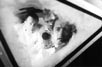 Apollo 13 [Cast]