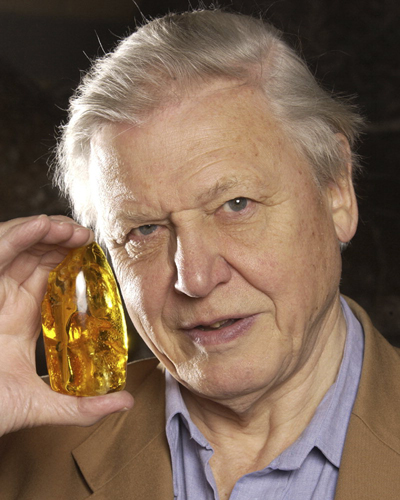 Attenborough, David Photo