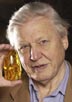 Attenborough, David