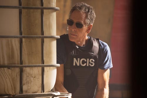 Bakula, Scott [NCIS New Orleans] Photo