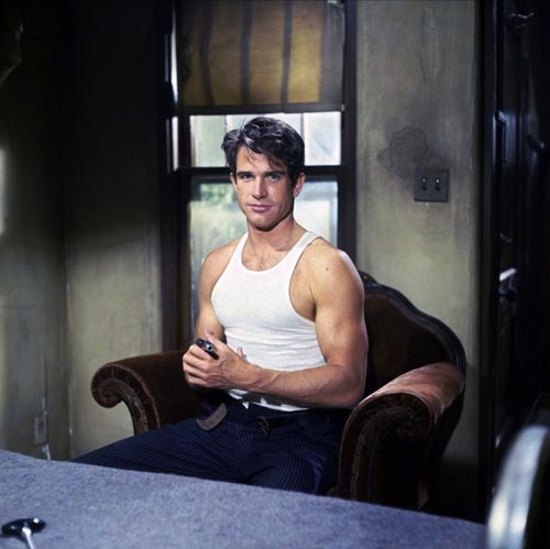 Beatty, Warren [Bonnie and Clyde] Photo