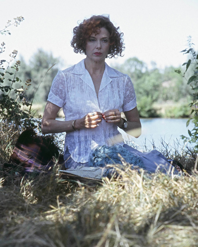 Bening, Annette Photo