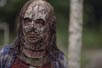 Birch, Thora [The Walking Dead]