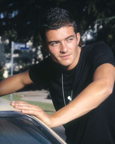 Bloom, Orlando Photo