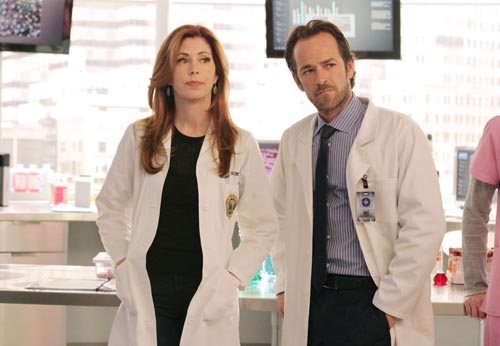 Body of Proof [Cast] Photo