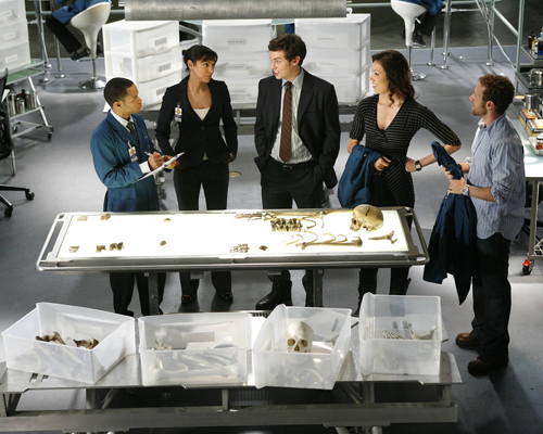 Bones [Cast] Photo