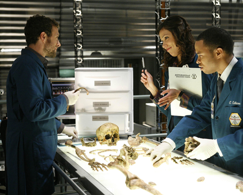 Bones [Cast] Photo