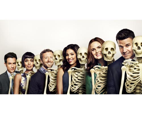 Bones [Cast] Photo