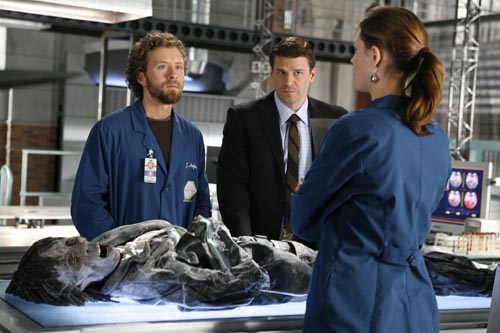 Bones [Cast] Photo