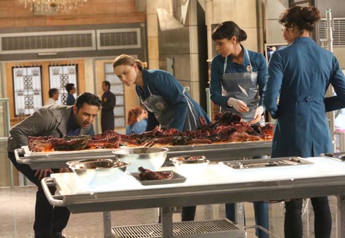 Bones [Cast] Photo
