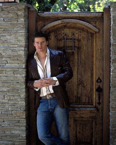 Boreanaz, David [Angel] Photo