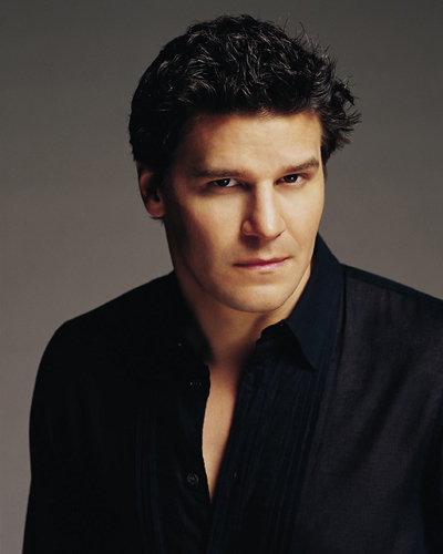 Boreanaz, David [Angel] Photo