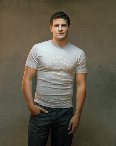 Boreanaz, David [Angel] Photo