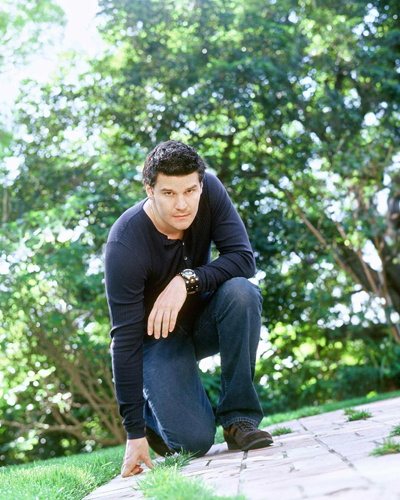 Boreanaz, David [Angel] Photo