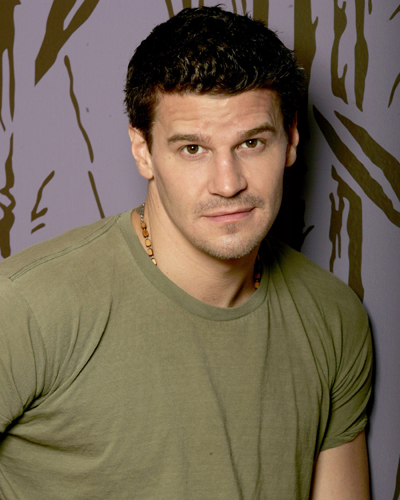 Boreanaz, David [Angel] Photo