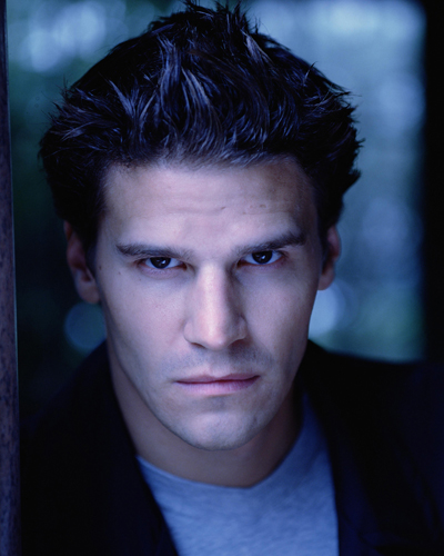 Boreanaz, David [Angel] Photo