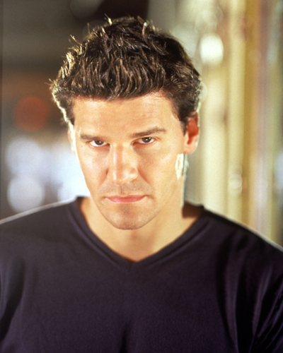 Boreanaz, David [Angel] Photo