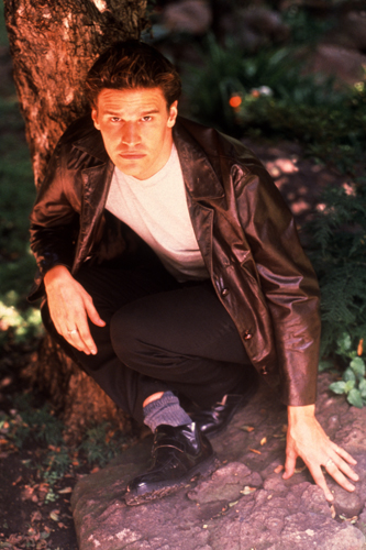 Boreanaz, David [Angel] Photo