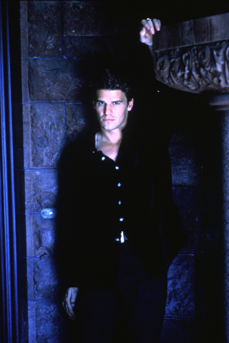 Boreanaz, David [Angel] Photo