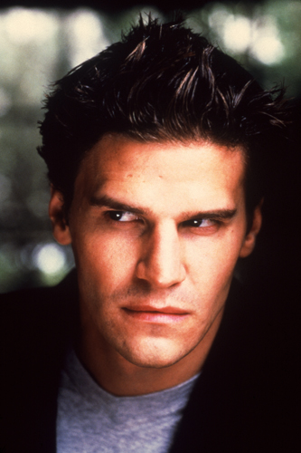 Boreanaz, David [Angel] Photo