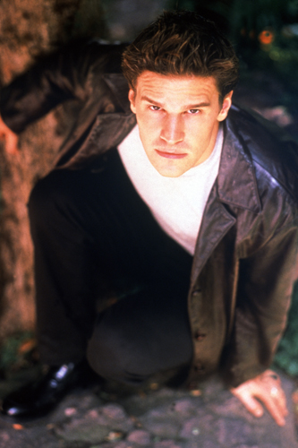 Boreanaz, David [Angel] Photo