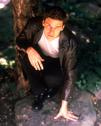 Boreanaz, David [Angel] Photo