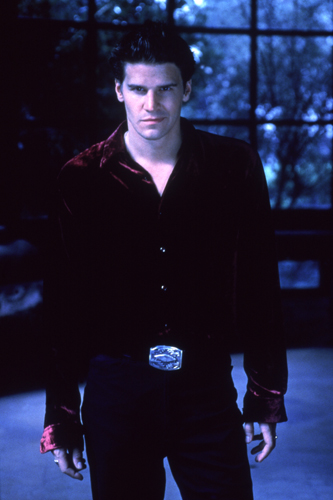 Boreanaz, David [Angel] Photo