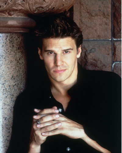 Boreanaz, David [Angel] Photo