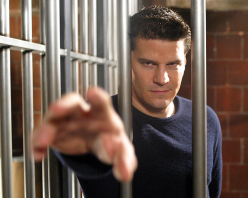 Boreanaz, David [Angel] Photo