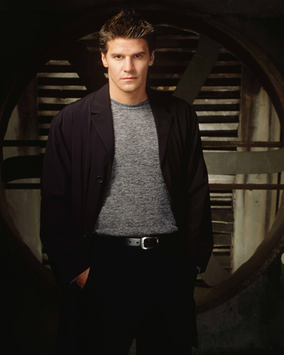 Boreanaz, David [Angel] Photo