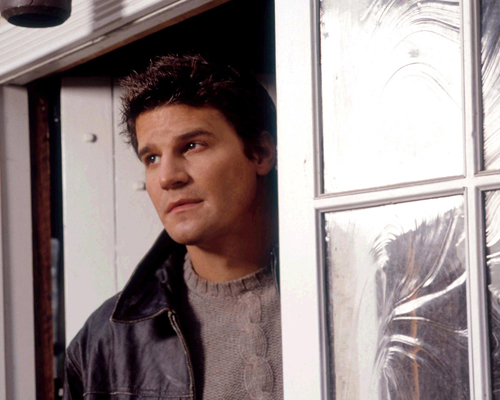 Boreanaz, David [Angel] Photo