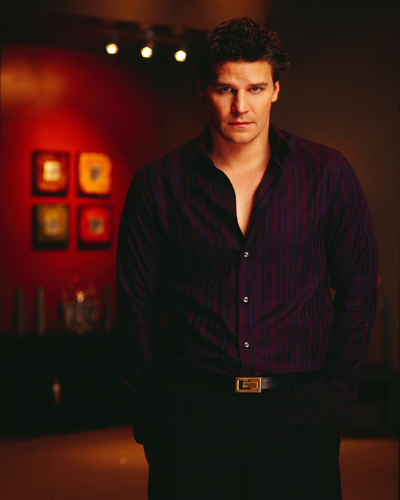 Boreanaz, David [Angel] Photo