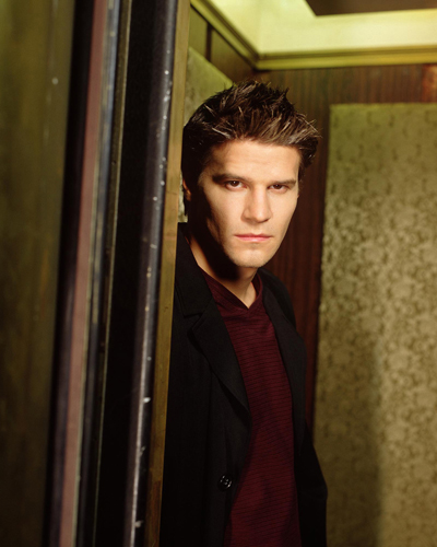 Boreanaz, David [Angel] Photo