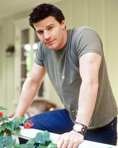 Boreanaz, David [Bones] Photo