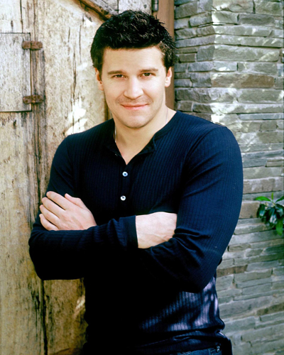 Boreanaz, David [Bones] Photo