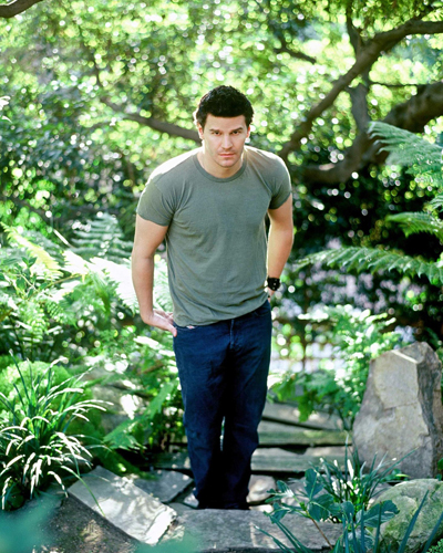 Boreanaz, David [Bones] Photo