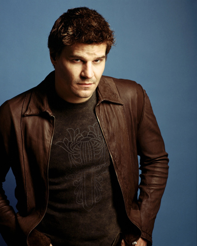 Boreanaz, David [Bones] Photo