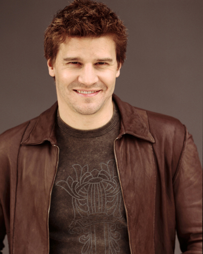 Boreanaz, David [Bones] Photo