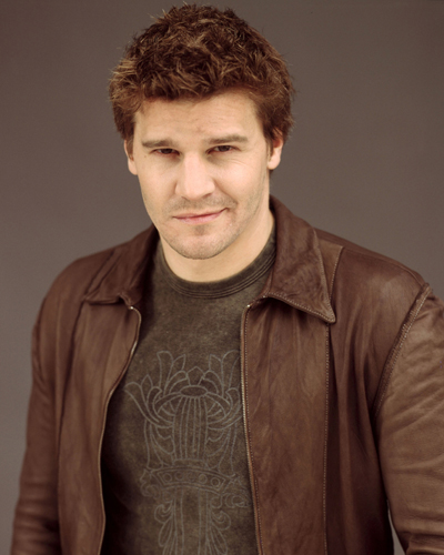 Boreanaz, David [Bones] Photo