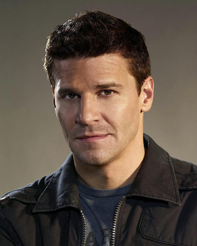 Boreanaz, David [Bones] Photo