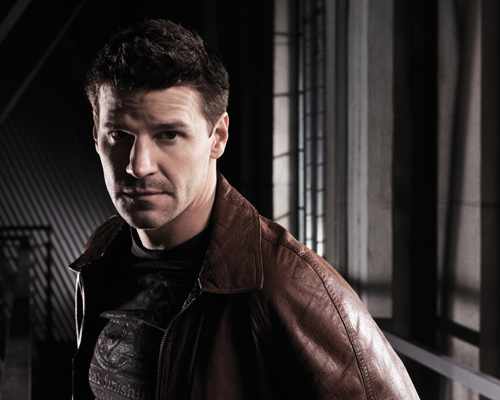 Boreanaz, David [Bones] Photo