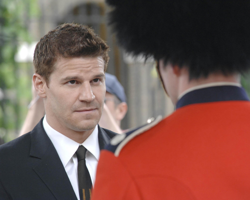 Boreanaz, David [Bones] Photo