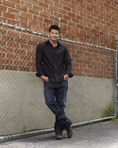 Boreanaz, David [Bones] Photo